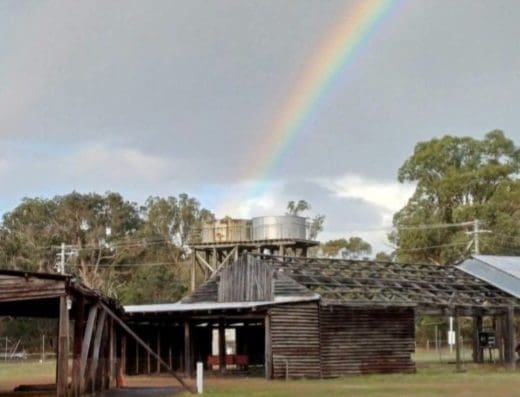 Ludlow Tuart Forest Restoration Group
